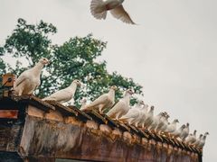 -莫干山风景区