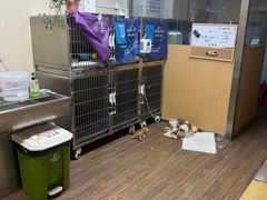 -中农大我爱我爱24h动物医院·中医针灸·猫专科·骨科医疗中心(双井店)