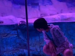 -暹罗海洋世界