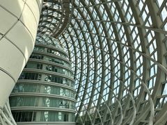 -凤凰中心