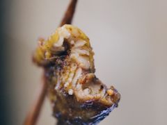 -晓靖轩烧烤(沙河风情店)