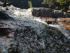 -广州白江湖森林公园