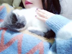 -喵zoo家庭繁育猫舍(尖东智能花园店)