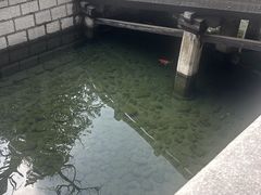 -晋祠博物馆