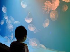 -华夏文旅海洋公园