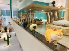 -飞行喵MR PILOT|猫舍·猫咖(静安大融城店)