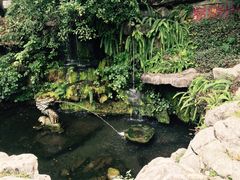 -桂林古东瀑布景区