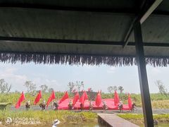 -泗洪洪泽湖湿地景区