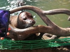 -华夏文旅海洋公园