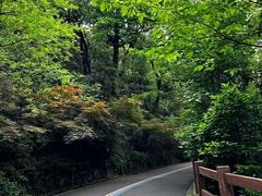 -杭州半山国家森林公园