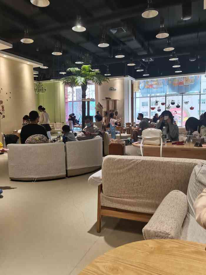 藏貓貓coffee貓咖主題館(中央大道店)-