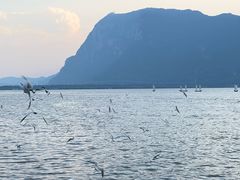 -海埂大坝