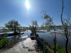 -洱海月湿地公园