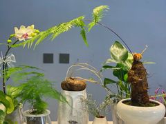 -靳晖金百合花艺GOLDENLILY(南院门店)