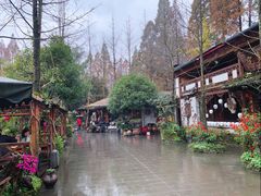 -青城甲(青城山店)