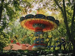 -上海共青森林公园