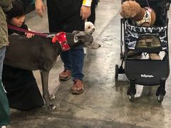 -香港会议展览中心演讲厅