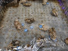 -盒马鲜生(龙德广场店)