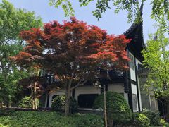 -上海皇廷花园酒店·御宴中餐厅
