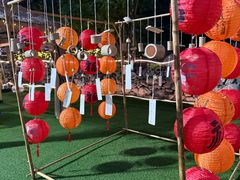 -阳台山自然风景区