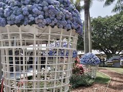 -深圳仙湖植物园