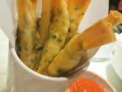 臭豆腐春卷-佬肥猫(国华广场店)