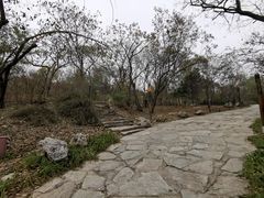 -周口店北京人遗址公园