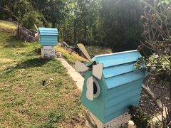 -黄色小屋