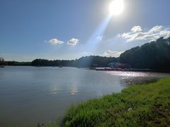 -上海海湾国家森林公园