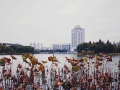-江南大学(蠡湖校区)