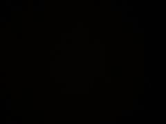 -芸山季·云南山珍菌火锅(南翔印象城MEGA店)