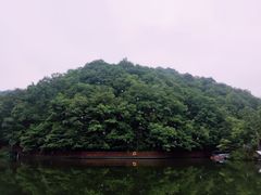 -洛阳白云山景区