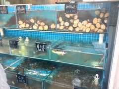 -北戴河庆山饭店·海鲜砂锅粥(北戴河黑石路店)