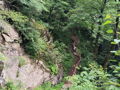 -王顺山国家森林公园