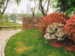 -尚贤河湿地