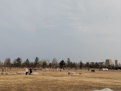 -汉长安城未央宫国家考古遗址公园