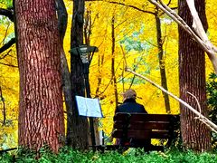 -徐家汇源景区-衡山公园