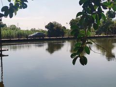 -水库河鲜村