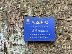 -中国科学院西双版纳热带植物园