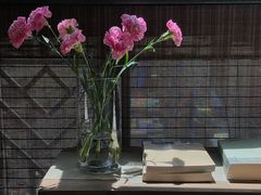 -瓦库茶馆17号(海汇港店)