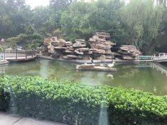 -山东大厦