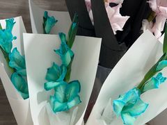 -淘花源花艺鲜花店 开业花篮 绿植(南部商务区店)