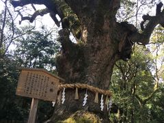 -热田神宫