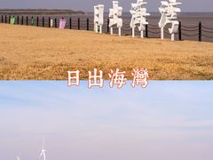 -盐城丹顶鹤湿地生态旅游区