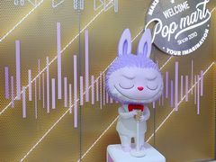 -泡泡玛特POPMART(合生汇店)