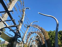 -布里斯班南岸公园