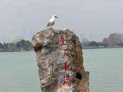 -东湖落雁景区