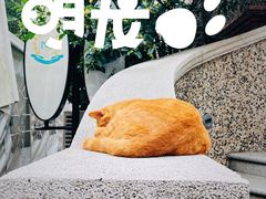 -思南公馆