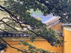 -普陀山风景名胜区-法雨禅寺