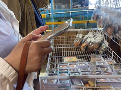 -蓝湾碧波·老字号·疍家非遗海上餐厅
